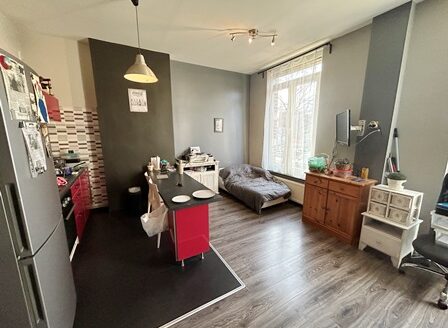 Petite copropriété, 2 appartements 1chs (peu de charges)