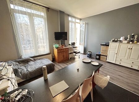 Petite copropriété, 2 appartements 1chs (peu de charges)