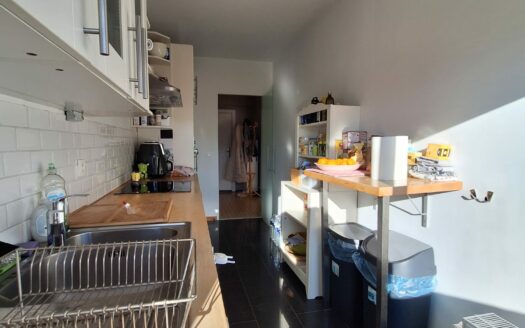 Charmant appartement très lumineux 2chs, terrasse, vue Parc