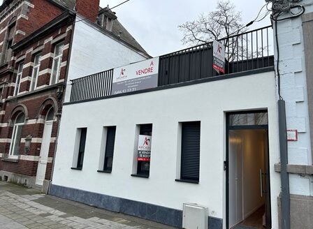 Pour investissement (rend. 5%) ou pour profession libérale/résidentiel, Maison neuve 4chs/grand jardin