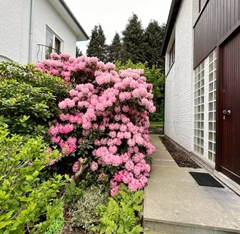 Agréable Maison 3 fac. quartier résidentiel (Parmentier) 3chs/garage/jardin/parking
