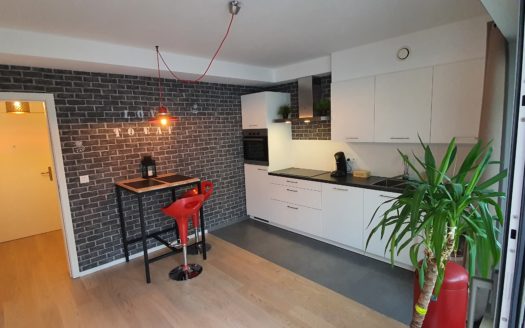 Magnifique grand studio meublé avec grande terrasse privée