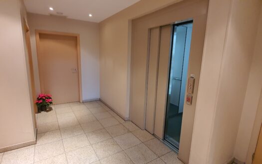 Immeuble récent (2003), agréable appartement traversant 3chs+2terrasses+garage et cave