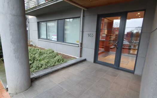 Immeuble récent (2003), agréable appartement traversant 3chs+2terrasses+garage et cave