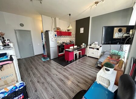 Petite copropriété, 2 appartements 1chs (peu de charges)