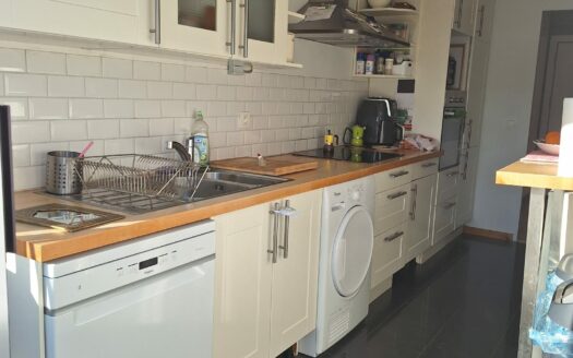 Charmant appartement très lumineux 2chs, terrasse, vue Parc