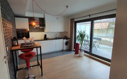Chamant grand studio meublé avec espace nuit et grande terrasse